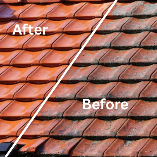 Roof cleaning portfolio