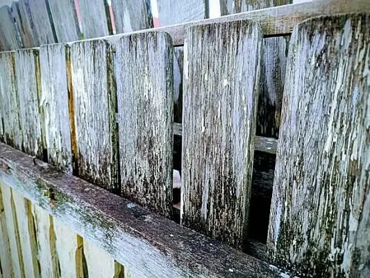 Why Avoid Pressure Washing of Wooden Fences